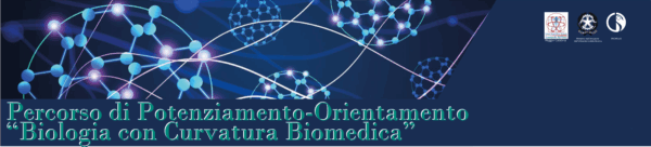 Banner-5335